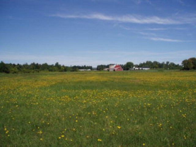 51 Acres of Land for Sale in Plattsburgh, New York