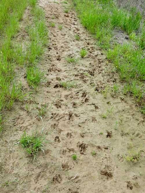 50 Acres of Land for Sale in Oak Grove, Louisiana LandSearch