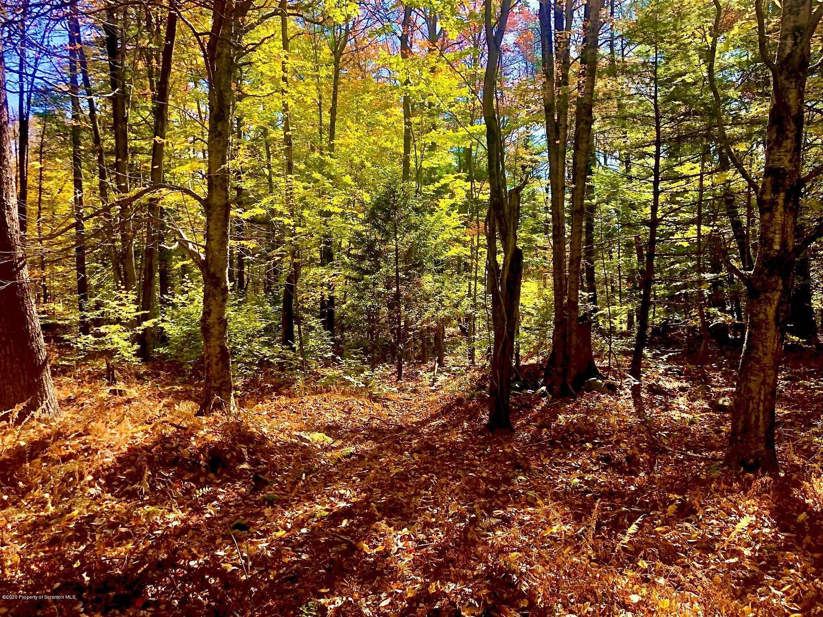 1.1 Acres of Residential Land for Sale in Thornhurst, Pennsylvania