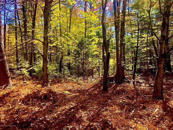 1.1 Acres of Residential Land for Sale in Thornhurst, Pennsylvania