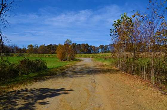 93.2 Acres of Land for Sale in Meadows of Dan, Virginia