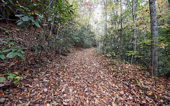 12.2 Acres of Recreational Land for Sale in Andrews, North Carolina