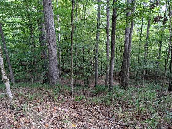 108 Acres of Recreational Land & Farm for Sale in Roxie, Mississippi ...