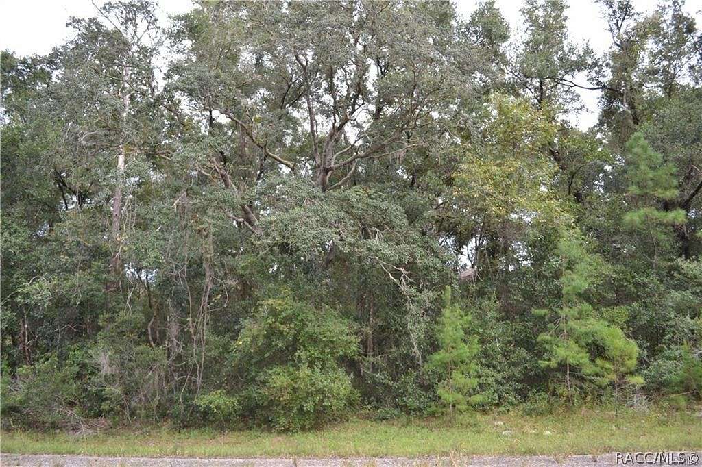 0.23 Acres of Residential Land for Sale in Citrus Springs, Florida