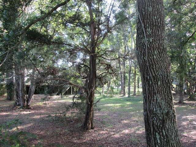0.5 Acres of Residential Land for Sale in Mount Pleasant, South Carolina
