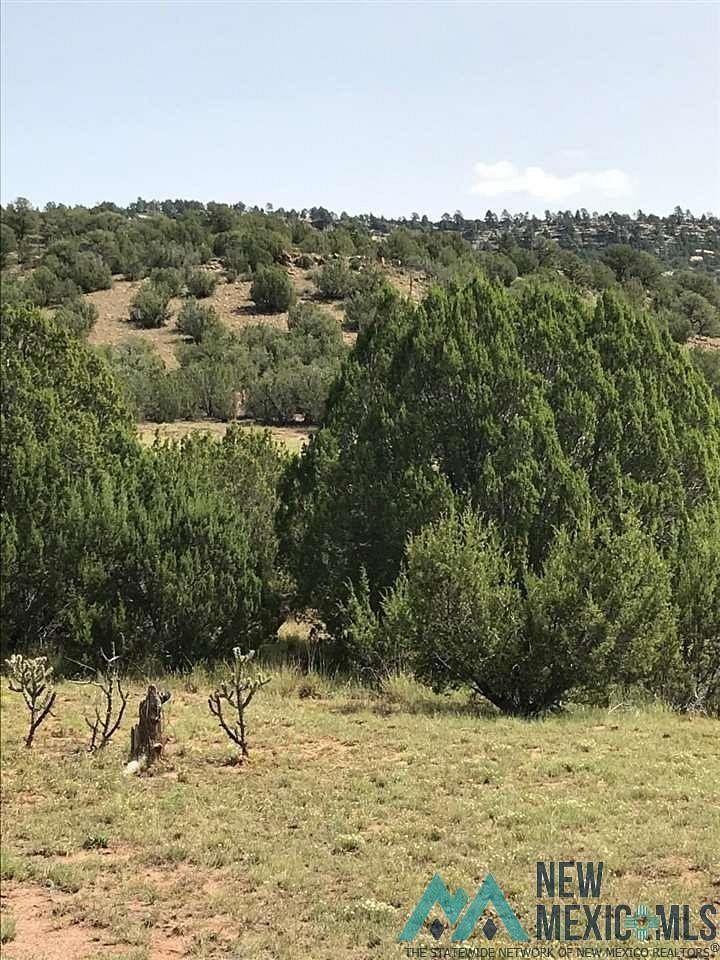 20 Acres of Land for Sale in Los Montoyas, New Mexico