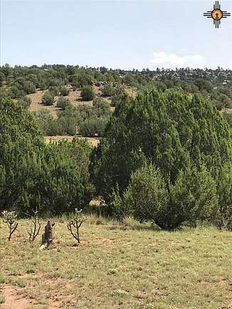 20 Acres of Land for Sale in Los Montoyas, New Mexico