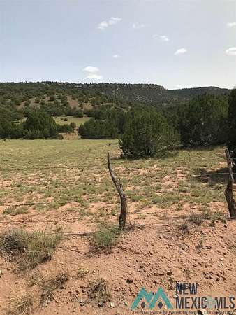 20 Acres of Land for Sale in Los Montoyas, New Mexico