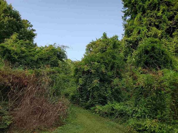 0.46 Acres of Residential Land for Sale in Raleigh, North Carolina