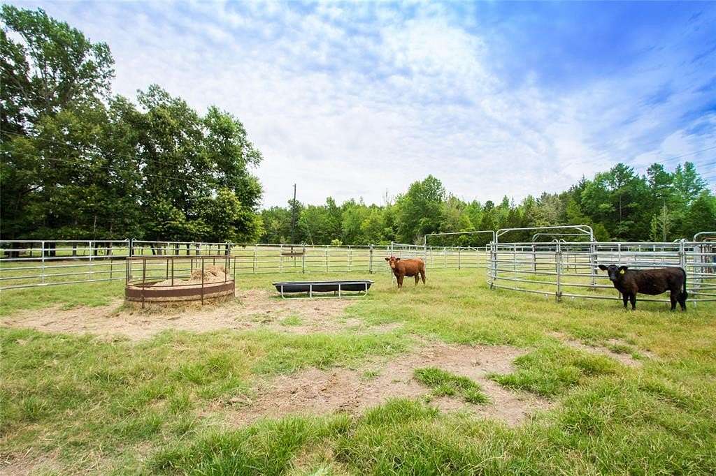 61.2 Acres of Agricultural Land with Home for Sale in Ben Wheeler