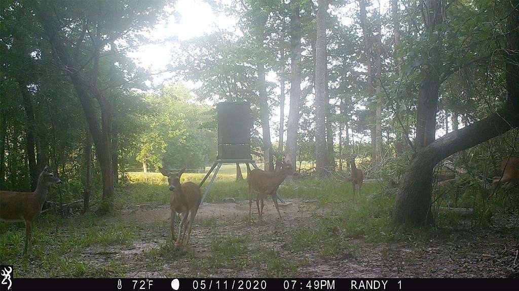 61.2 Acres of Agricultural Land with Home for Sale in Ben Wheeler