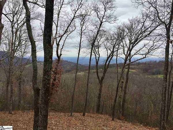 1.7 Acres of Residential Land for Sale in Landrum, South Carolina