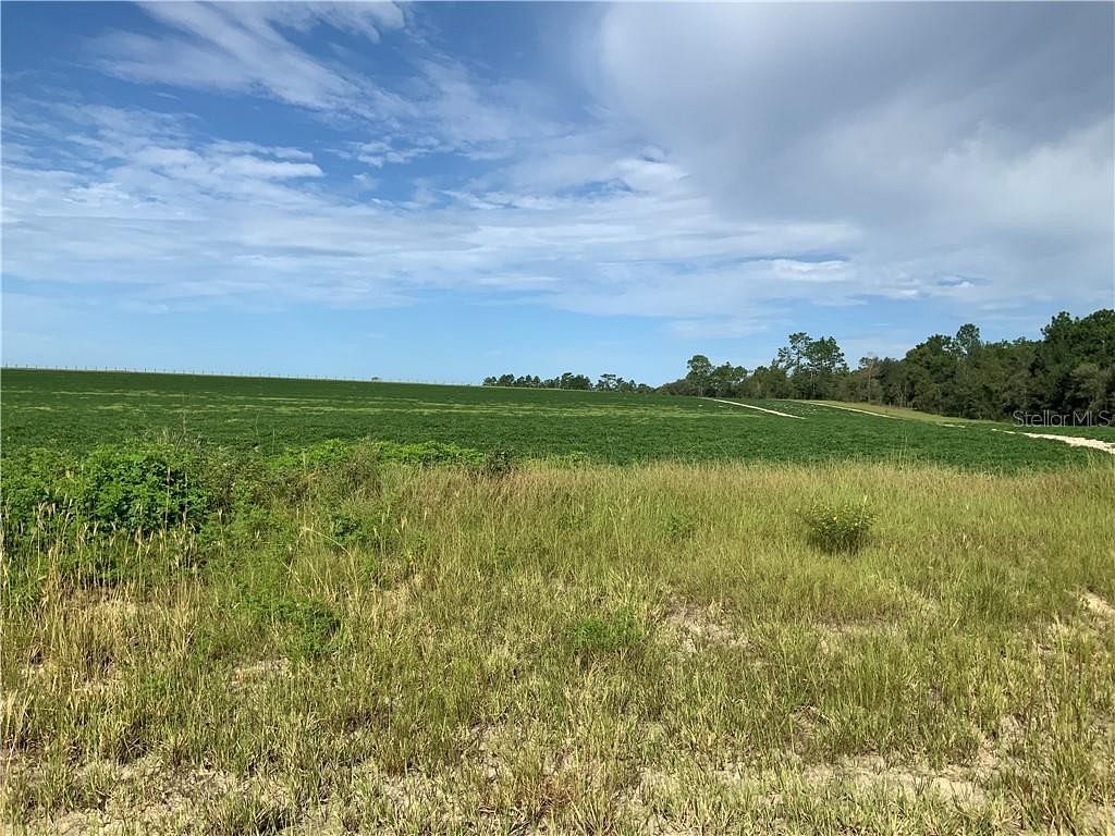 9.7 Acres of Land for Sale in Morriston, Florida