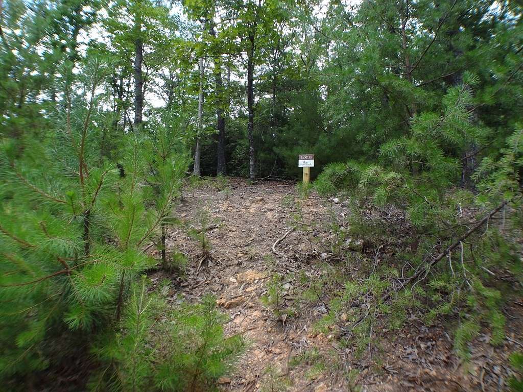 1.1 Acres of Residential Land for Sale in Franklin Township, North Carolina