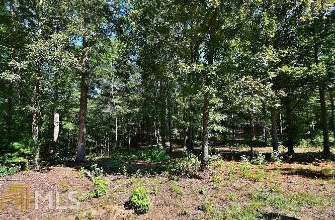 6.1 Acres of Residential Land for Sale in Gainesville, Georgia