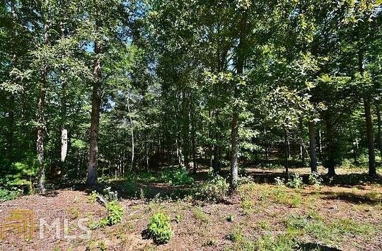 6.12 Acres of Residential Land for Sale in Gainesville, Georgia