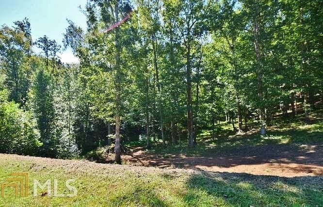 2 Acres of Residential Land for Sale in Gainesville, Georgia