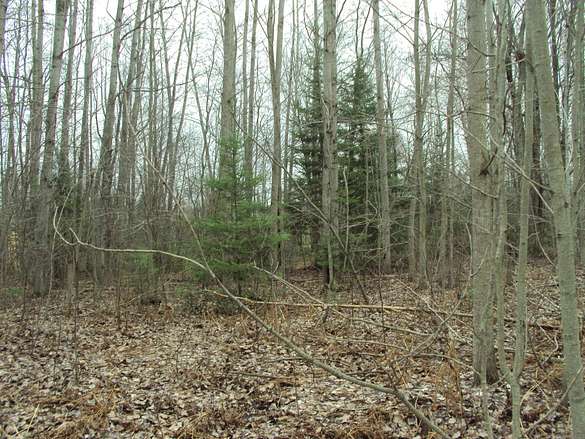 0.74 Acres of Residential Land for Sale in Wolverine, Michigan