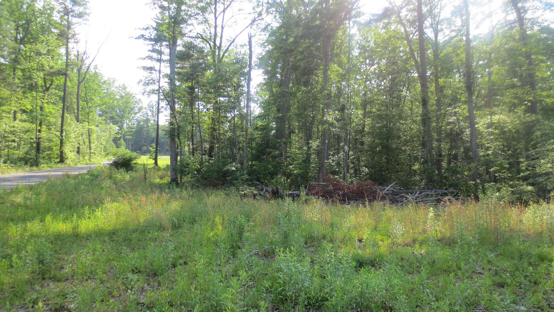 1.1 Acres of Residential Land for Sale in Lewisburg, West Virginia
