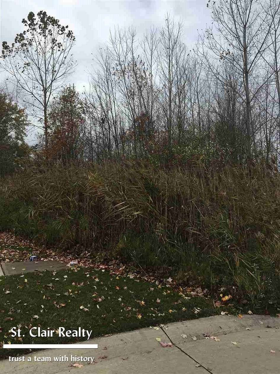 0.49 Acres of Residential Land for Sale in East China Township, Michigan