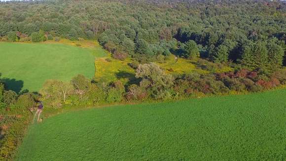 223.47 Acres of Recreational Land for Sale in Morris, New York