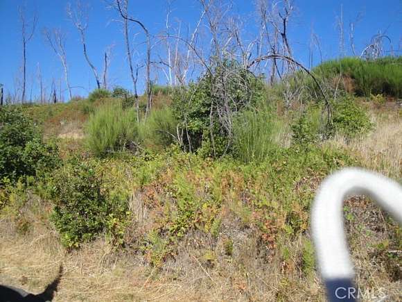 0.22 Acres of Land for Sale in Berry Creek, California