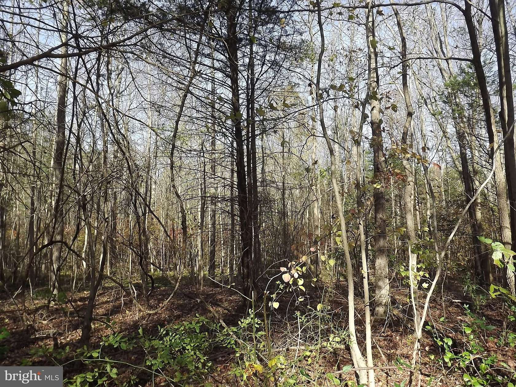 3.32 Acres of Residential Land for Sale in Alloway, New Jersey