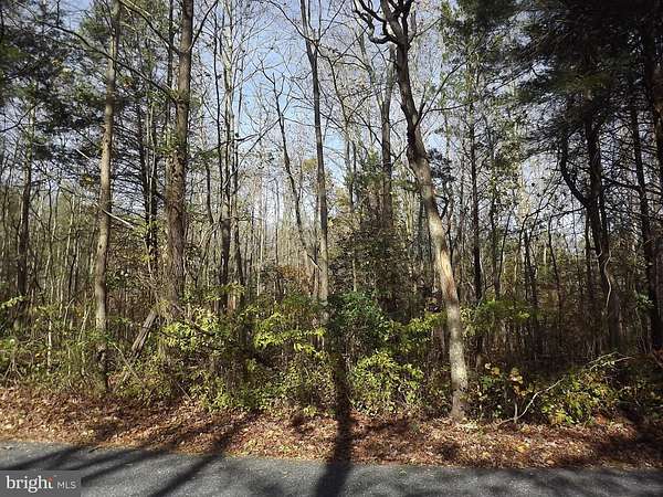 3.32 Acres of Residential Land for Sale in Alloway, New Jersey