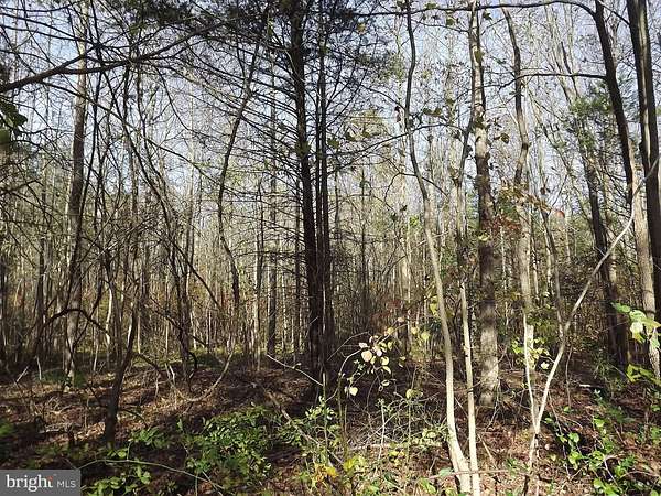 3.32 Acres of Residential Land for Sale in Alloway, New Jersey