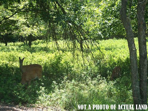 0.58 Acres of Residential Land for Sale in Albrightsville, Pennsylvania