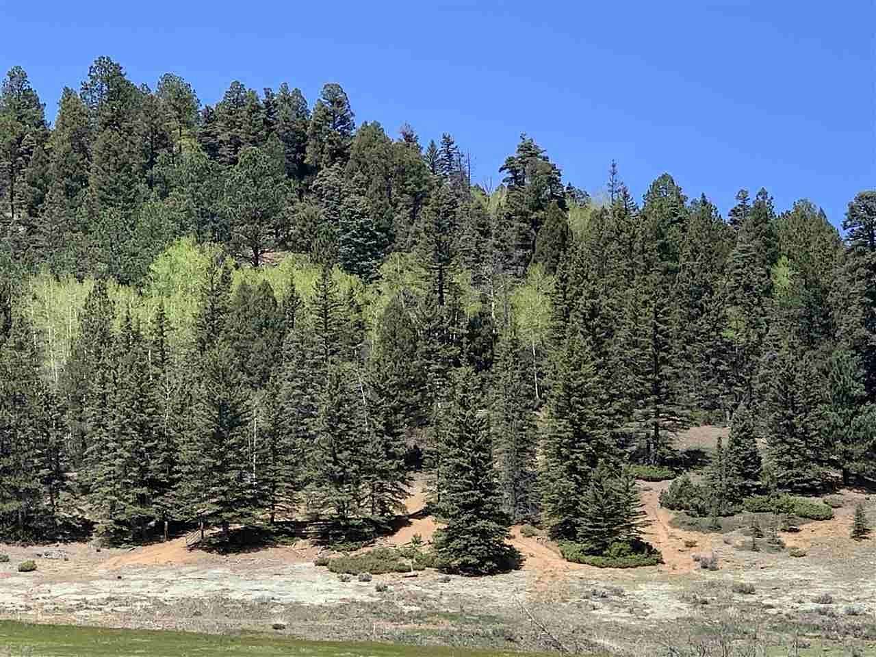 48 Acres of Recreational Land for Sale in Valle Escondido, New Mexico