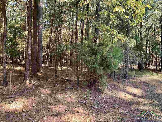 0.54 Acres of Residential Land for Sale in Marshall, Texas