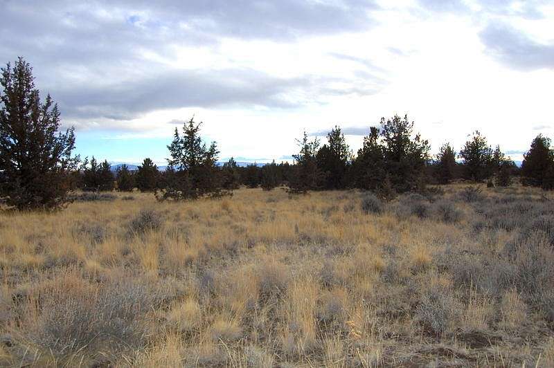 5 Acres of Land for Sale in Prineville, Oregon