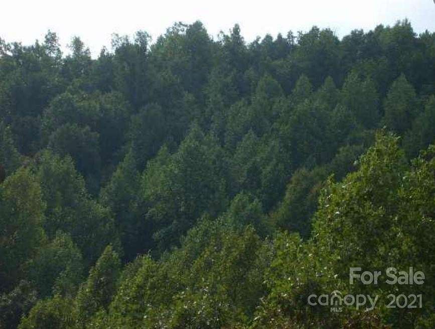 10.6 Acres of Land for Sale in Lenoir, North Carolina