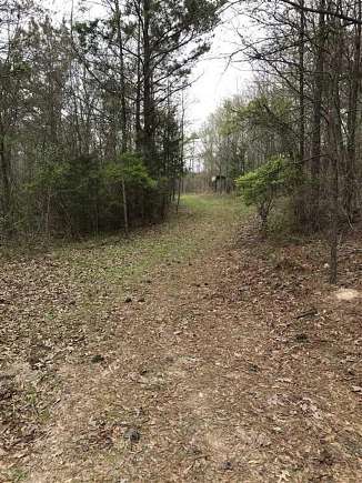 115 Acres of Recreational Land for Sale in Brandon, Mississippi