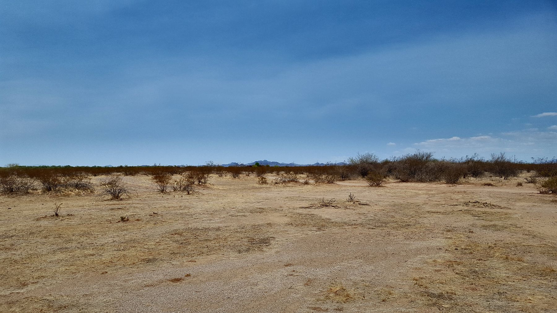 1 Acre of Residential Land for Sale in Wittmann, Arizona LandSearch