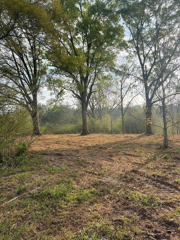 7.9 Acres of Land for Sale in Poplarville, Mississippi