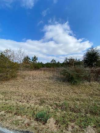 26.1 Acres of Agricultural Land for Sale in Poplarville, Mississippi