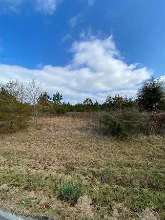 26.1 Acres of Land for Sale in Poplarville, Mississippi