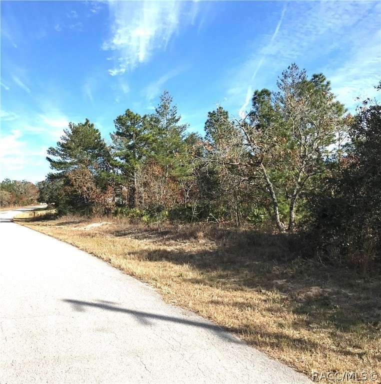 0.29 Acres of Residential Land for Sale in Homosassa, Florida