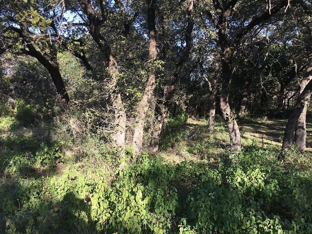 0.3 Acres of Residential Land for Sale in Spicewood, Texas