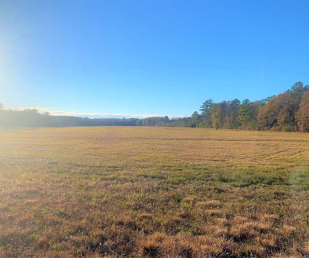15 Acres of Land for Sale in Ellisville, Mississippi