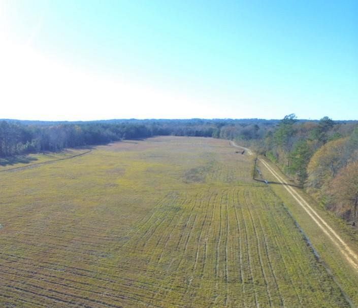 Commercial Land for Sale in Ellisville, Mississippi