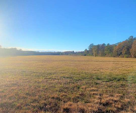 15 Acres of Land for Sale in Ellisville, Mississippi