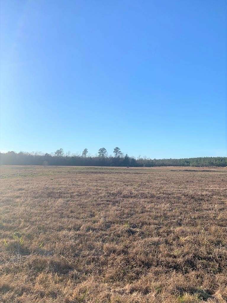 47.8 Acres of Commercial Land for Sale in Ellisville, Mississippi