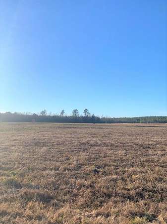 15 Acres of Land for Sale in Ellisville, Mississippi