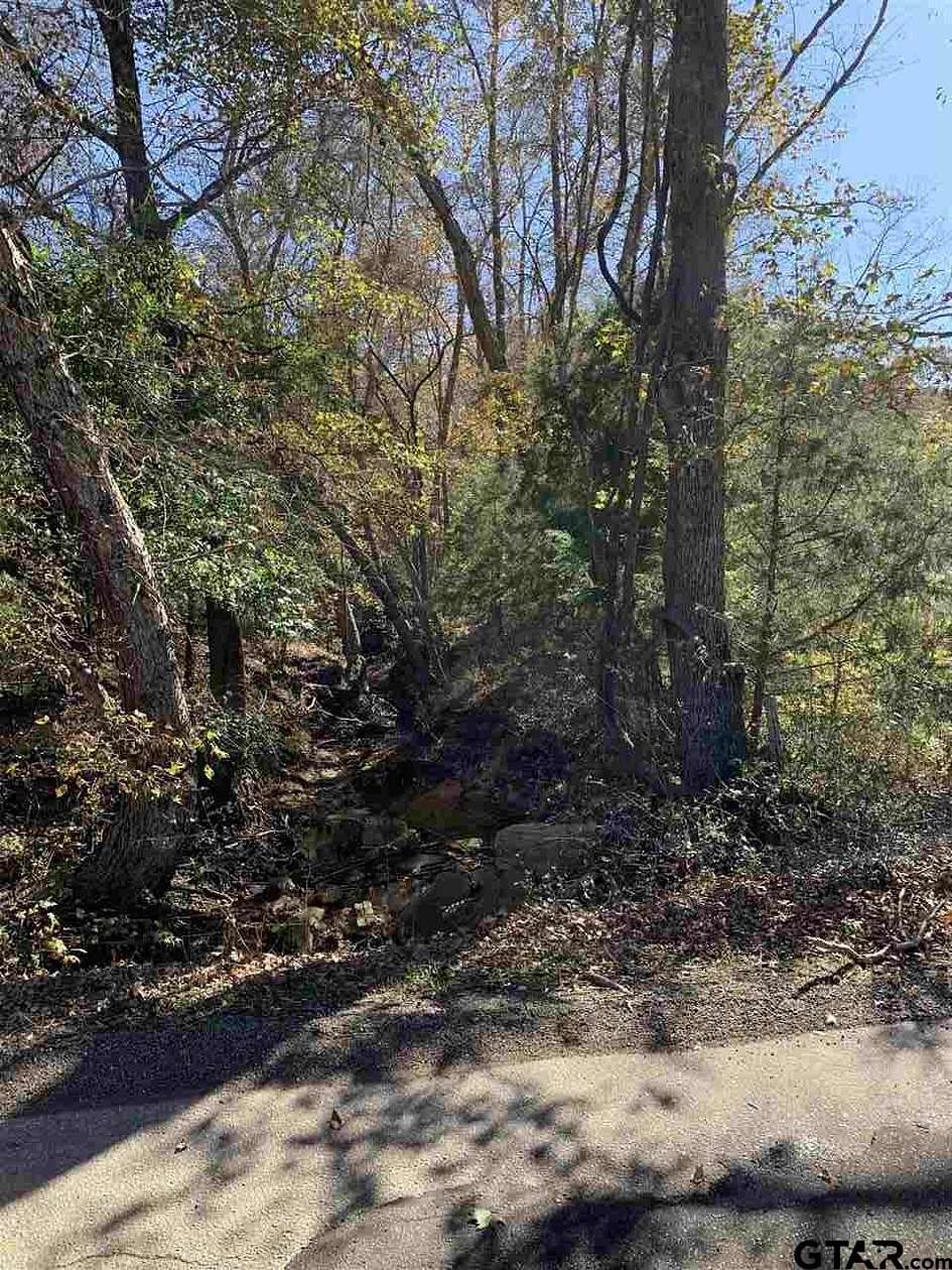 11.6 Acres of Land for Sale in Lindale, Texas