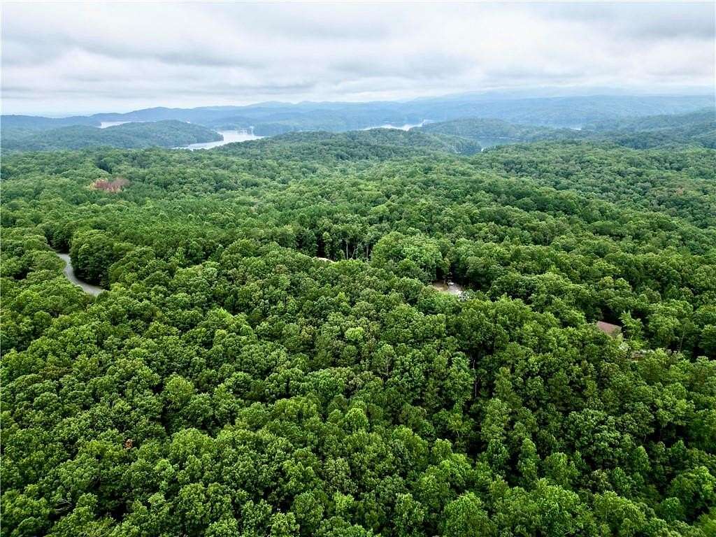 2 Acres of Residential Land for Sale in Ellijay, Georgia