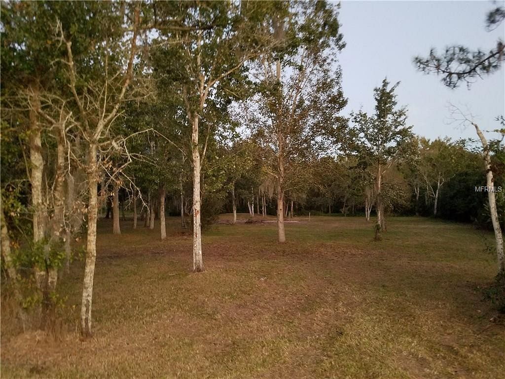 1 Acre of Land for Sale in Wesley Chapel, Florida