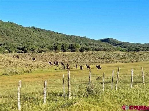35 Acres of Recreational Land & Farm for Sale in Dolores, Colorado